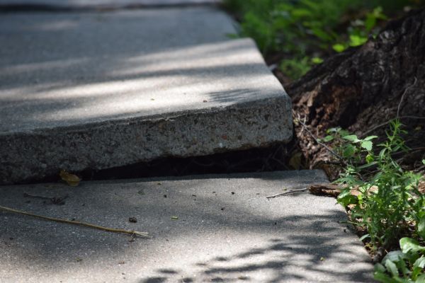 Sidewalk Leveling in Burlington